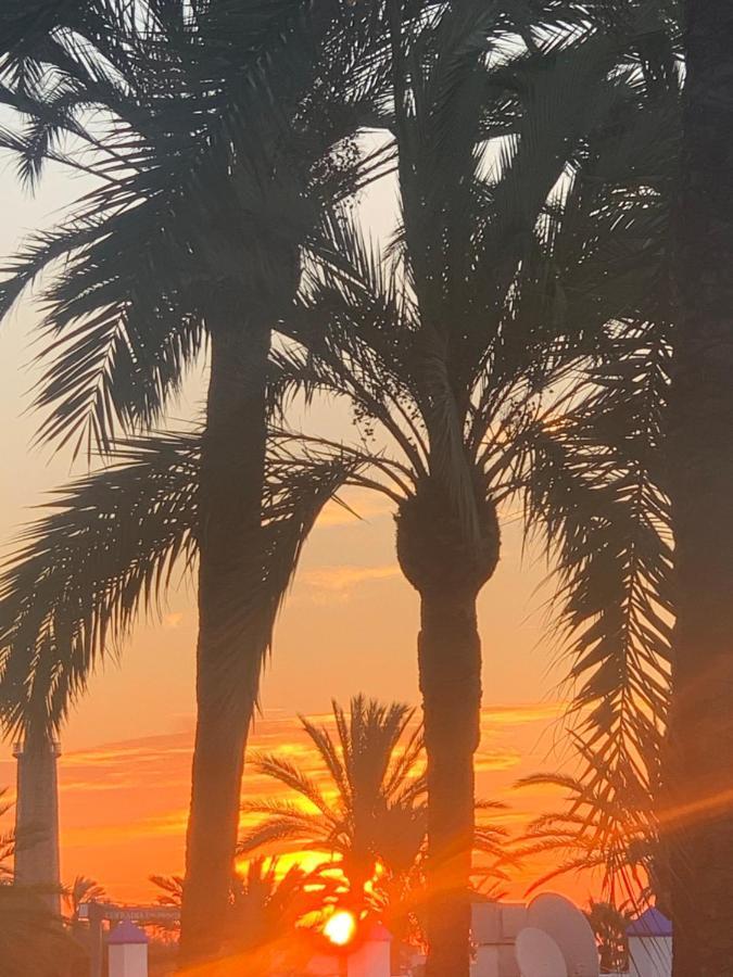 Appartement Palmeras Puerto Paraiso Estepona Luaran gambar