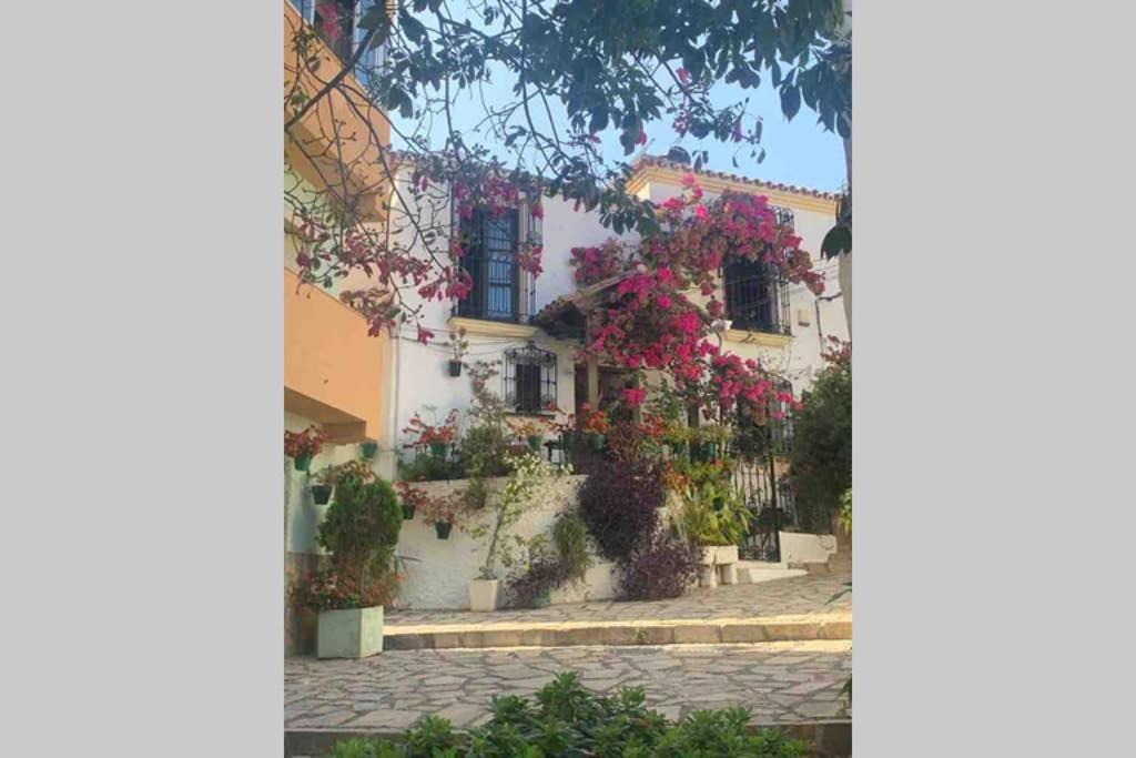 Appartement Palmeras Puerto Paraiso Estepona Luaran gambar